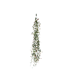 CASCANTE TILLANDSIA CM 110 A26184