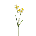 DAFFODIL SPRAY 64 CM 3884