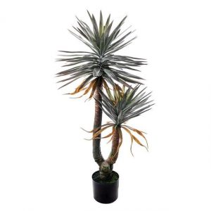 DRACENA PIANTA H 150 A27374