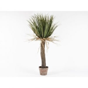 DRACENA H 97 C/VASO DS 08764