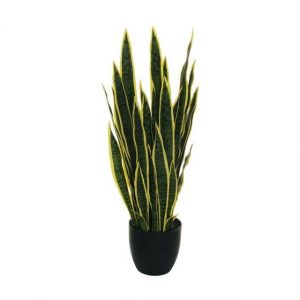 SANSEVERIA H 85 80-357885