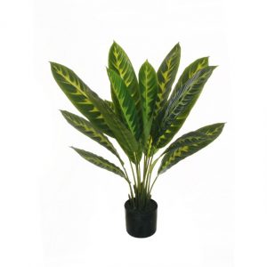 MARANTA 90 CM 80-347572